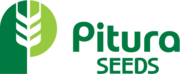 Pitura Seeds logo